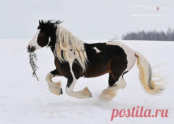 на такой скорости и зима не страшна!