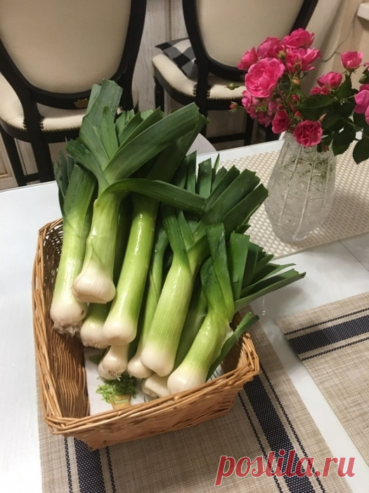 Лук с белой ножкой.
