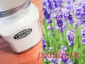 Самодельное моющее средство с лавандой