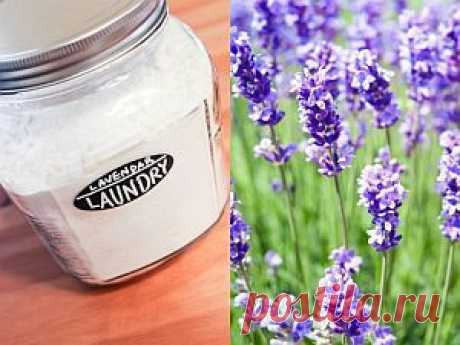Самодельное моющее средство с лавандой