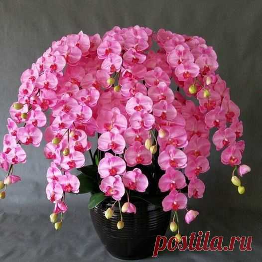 (2) цветы | Facebook