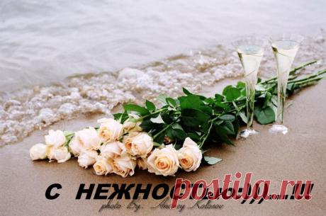 Архив открыток отправленных 8 Января 2015 года. Добавили: Alinka , Алефтина Чайка В Дру, Алексей Сокол, Наталья Евгенье, Татьяна , Umochka , Игорь Кузнецов, Елена Небеса, Marina Levanskay, Koroleva Ledyanaya, Вячеслав Мищенко