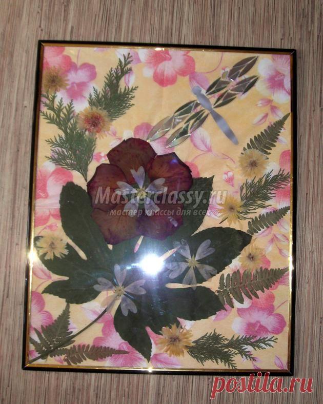 Картина из сухоцветов. Лето и стрекоза. Мастер-класс с пошаговыми фото