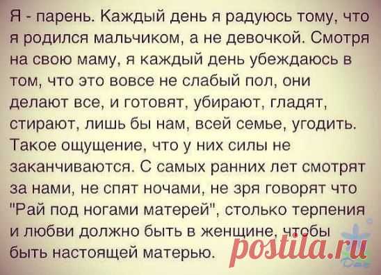 (15) Одноклассники