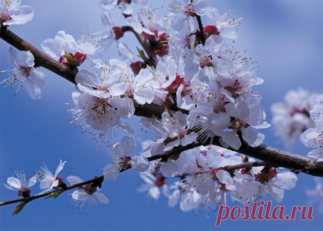 Небесная красота… — National Geographic Россия