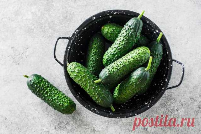Огурцы в русской, немецкой и голландской 