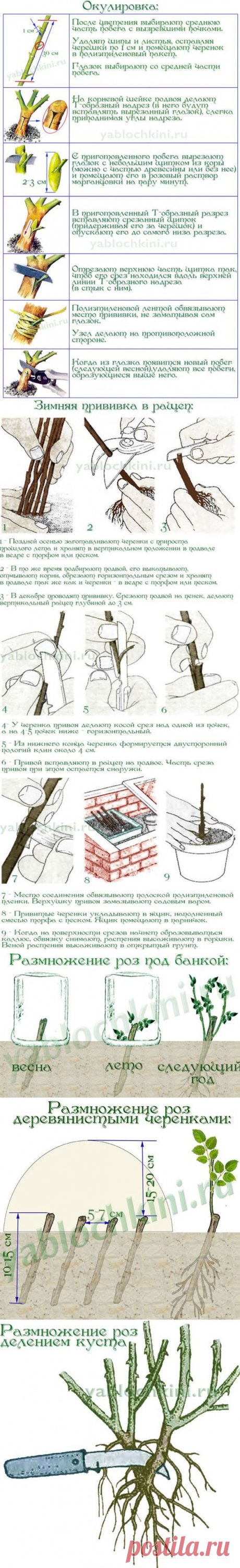 (398) Pinterest