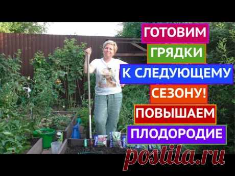 ГРЯДКИ ПОСЛЕ СБОРА УРОЖАЯ: ГОТОВИМ К СЛЕДУЮЩЕМУ СЕЗОНУ И БОЛЬШОМУ УРОЖАЮ!