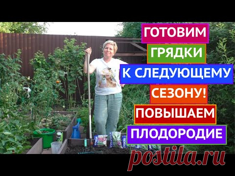 ГРЯДКИ ПОСЛЕ СБОРА УРОЖАЯ: ГОТОВИМ К СЛЕДУЮЩЕМУ СЕЗОНУ И БОЛЬШОМУ УРОЖАЮ!