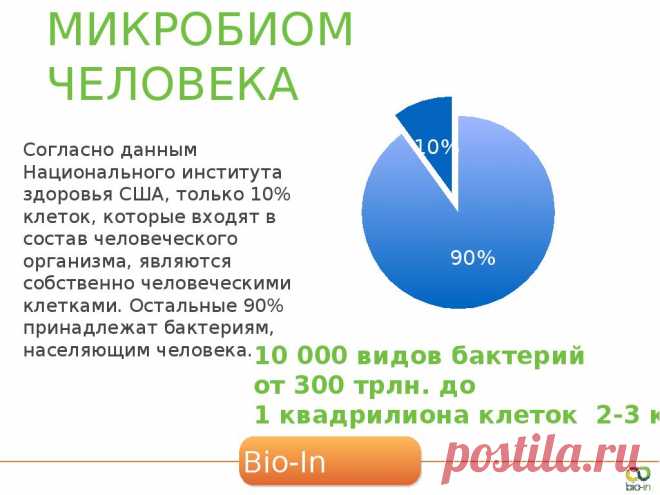 -выводит токсины и тяжелые металлы;
-контролирует количество холестерина в организме;
-подавляет аллергии;
-восстанавливает натуральный кислотно-щелочной баланс в организме;
-замедляет процессы старения. 
Комплексная программа Bio-In состоит из 8 этапов, каждый из которых последовательно подготавливает организм к следующему, а воздействие рекомендуемых продуктов обладает синергетическим эффектом. 
Эксклюзивное право приобретения программы Bio-In в ноябре по выгодным ценам
. 8917 125 50 43
