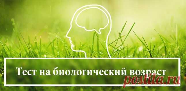 Тест: Узнайте свой биологический возраст .