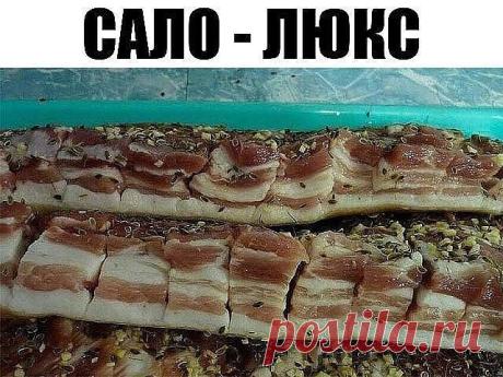 ПО ВАШИМ ПРОСЬБАМ!
САЛО - ЛЮКС!!!
На литр воды один стакан (200г) - соли и половина такого стакана сахара , лавр. лист (не жалеть!), перец горошек , довести до кипения и остудить . Вот этим рассолом залить сало(1-2 кг). Сало можно сразу пересыпать чесноком. День стоит дома потом в холодильник примерно на сутки. Потом выложить на полотенце чтоб рассол сбежал. Можете добавлять по
вкусу свои приправы. Такой посол очень вкусный. Поверьте сахар не ощущается. Приятного аппетита!!!
