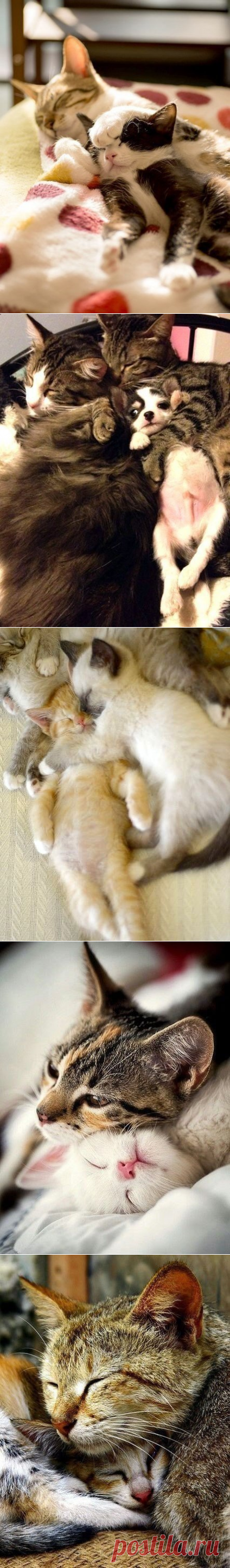 Обнимашки)