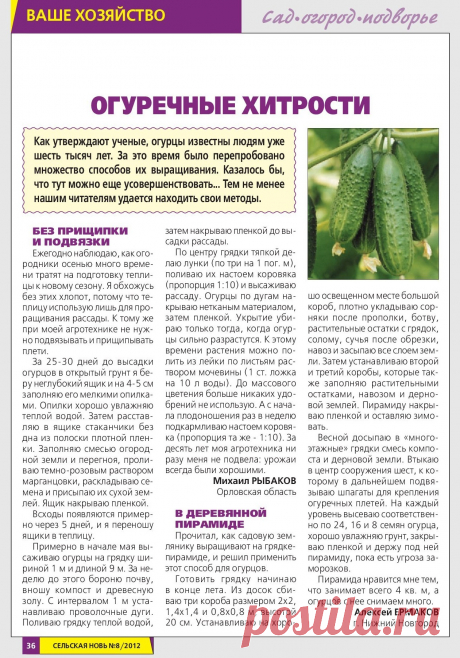 Огуречные хитрости