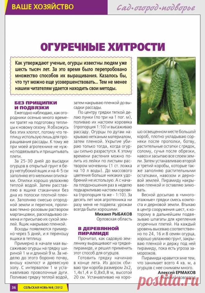 Огуречные хитрости