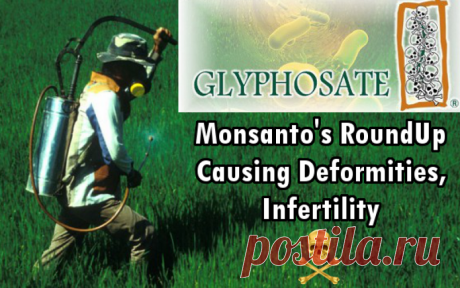 FACT: Pesticides a “Major Cause” of Infertility, Male Erectile Dysfunction - Biggies Boxers
