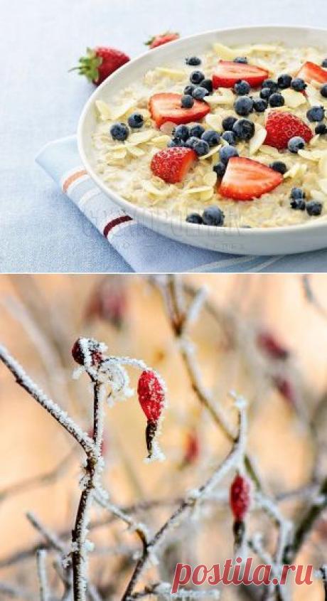 Растительные поливитаминные сборы | Народная медицина