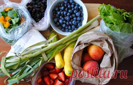 Обзор продуктов: что покупать на рынке в сентябре - KitchenMag.ru