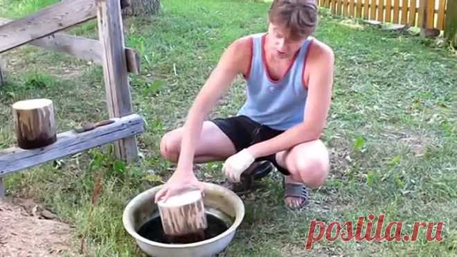 Садовая дорожка своими руками