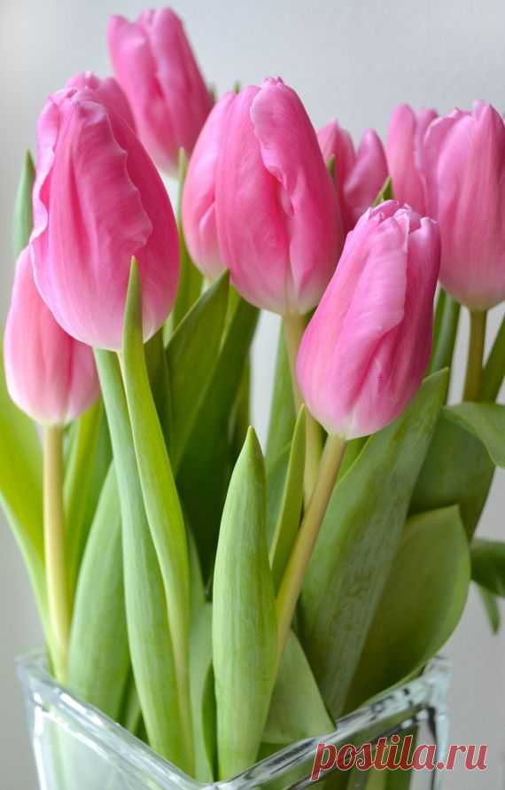 Найдено на сайте brightandbeautifulblog.com.