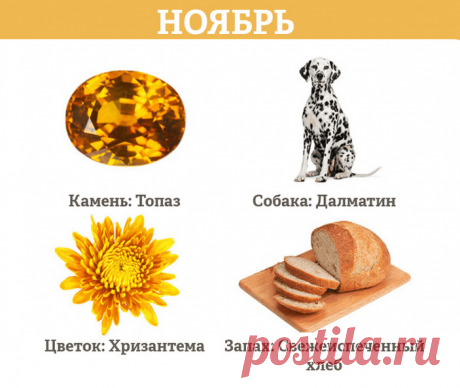 В каком месяце вы родились? Ответ поможет раскрыть поразительные секреты! — Копилочка полезных советов
