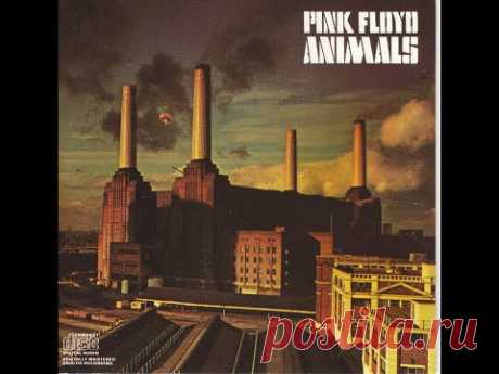 ANIMALS (alternate fan-made)