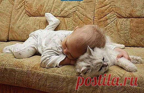 Мой Мир@Mail.Ru