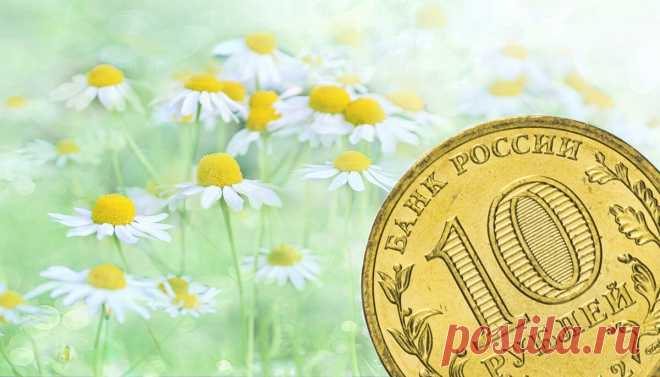 Раз ромашка, два ромашка, деньги сыпятся в кармашки! ツ | Счастливая Семейка | Яндекс Дзен