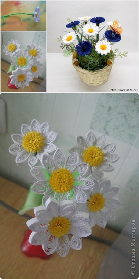 Ромашки в технике квиллинг. Мастер-класс