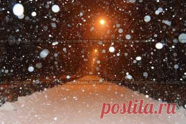 Night snowfall in a city park. Стоковое фото, фотограф Ilaronsia / Фотобанк Лори