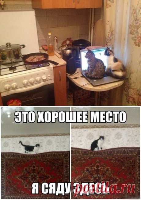 Сешинки