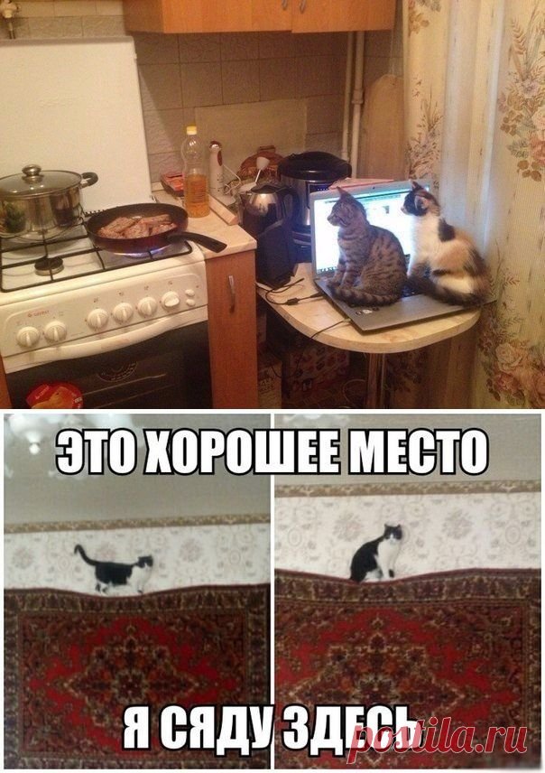 Сешинки
