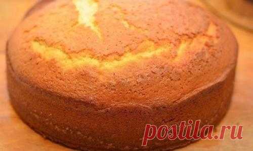 Быстрый бисквит на кефире: пышный, воздушный и легкий! :: Черкесск :: NEWSEUM