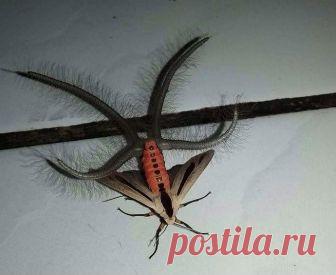 Да что же это за хреновина? Наш большой мир полон удивительных открытий, и, конечно, невозможно знать ответы на все вопросы. К счастью, их можно найти в интернете. Одни пользователи публикуют в нем фото странных неопознанных объектов, а другие помогают разобраться с тем, что же это все-таки такое. В этой подборке вы найдете массу занимательных ответов на вопросы, которые могут вас поразить. ...