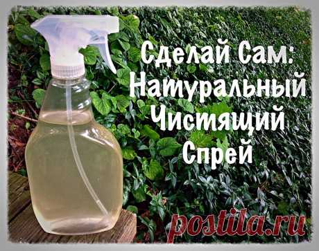 Как сделать натуральное дезинфицирующее чистящее средство дома?