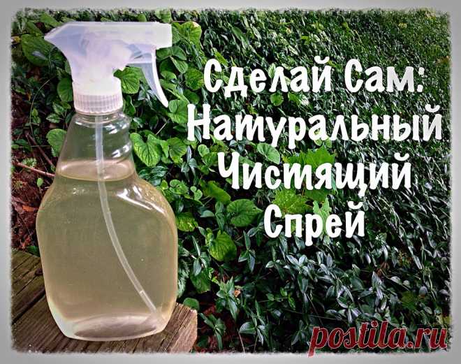 Как сделать натуральное дезинфицирующее чистящее средство дома?
