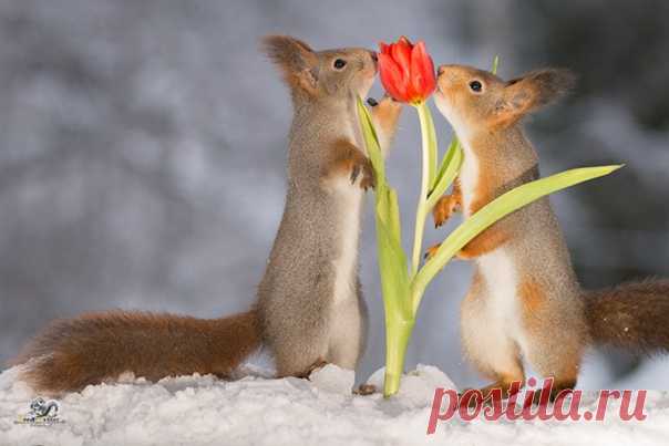 КАКОЙ СЕГОДНЯ ПРАЗДНИК? 14 Января 2021 г. – Четверг • Старый Новый год (Orthodox New Year) • Всемирный день логики (World Logic Day)2 года • День народного целителя • Праздник осла (Feast of the Ass) • День белоснежных птиц • День трубопроводных войск ВС РФ69 лет • Обрезание Господне • День «Приберитесь в своём доме» (Organize Your Home Day) • День рождения Московской области92 года • День памяти святителя Василия Великого • День памяти святого мученика Василия Анкирского Кесарийского • День…