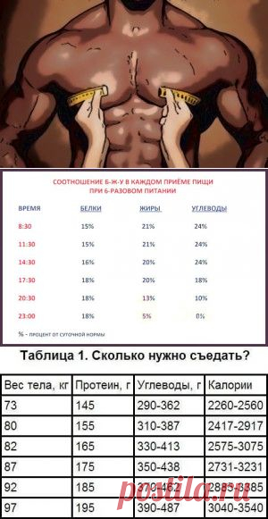 Как нарастить мышечную массу? | Sport - My Way