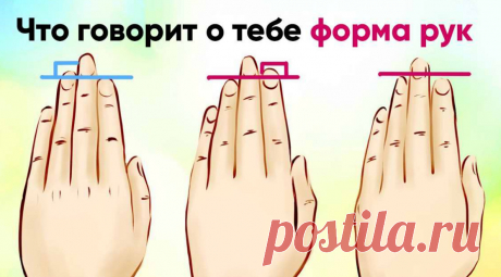 Что о человеке можно узнать по форме руки (тест) &amp;raquo; Женский Мир