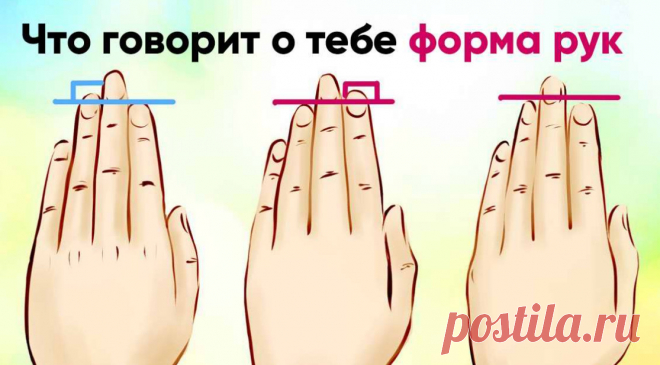 Что о человеке можно узнать по форме руки (тест) &raquo; Женский Мир