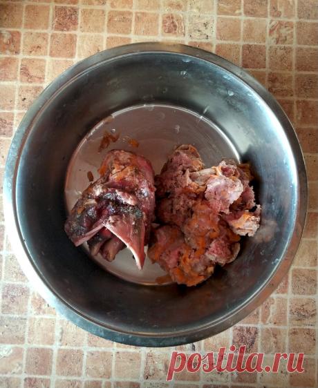 Как вельш корги кардиган стал сыроедом. Правда ли, что кормить собаку мясом, это дорого? | Бок о бок с кардиганом | Яндекс Дзен