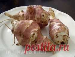 Топинамбур – перспективное растение для выработки биопродукции