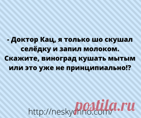 Лучшая подборка свежих и уморительных шуточек в картинках