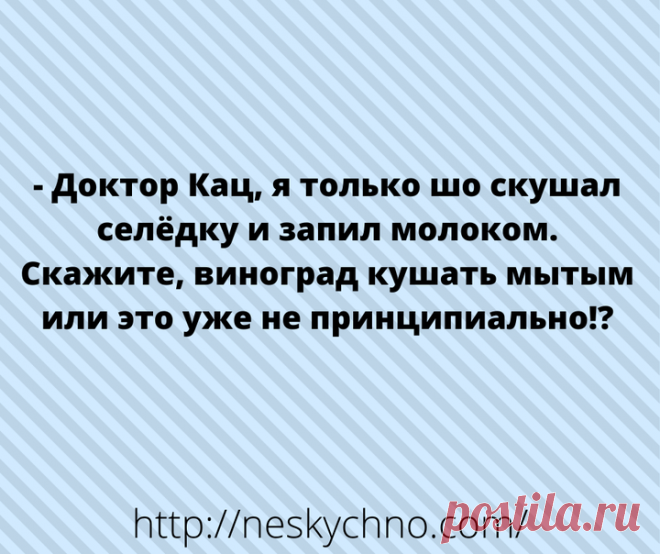 Лучшая подборка свежих и уморительных шуточек в картинках