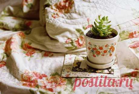 Когда есть о ком или о чем заботиться, то жизнь приобретает совсем другие краски.

Купите и попробуйте вырастить новое комнатное растение или разведите целый цветник! Вы будете ухаживать за ним, тем самым отдавая любовь и заботу. Но еще одна важная прелесть этого - растение сделает воздух в комнате чище, украсит ее и внесет свой маленький вклад в уют.

Это растение будет напоминать вам о лете, о солнце, тем самым поднимая настроение в холодную и серую позднюю осень. Растен...