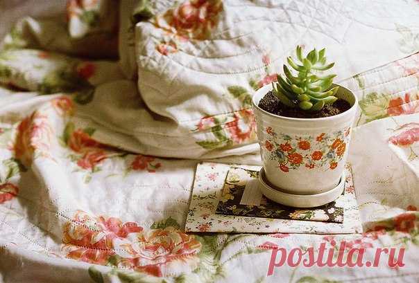 Когда есть о ком или о чем заботиться, то жизнь приобретает совсем другие краски.

Купите и попробуйте вырастить новое комнатное растение или разведите целый цветник! Вы будете ухаживать за ним, тем самым отдавая любовь и заботу. Но еще одна важная прелесть этого - растение сделает воздух в комнате чище, украсит ее и внесет свой маленький вклад в уют.

Это растение будет напоминать вам о лете, о солнце, тем самым поднимая настроение в холодную и серую позднюю осень. Растен...