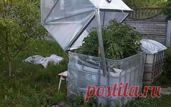 Теплица для ленивых – автоматическая тепличка своими руками