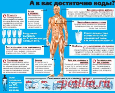 e279f0.jpg (782×634)