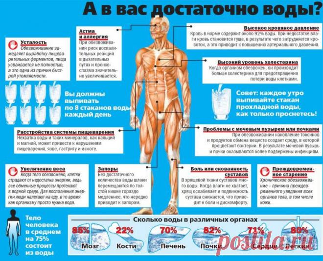 e279f0.jpg (782×634)