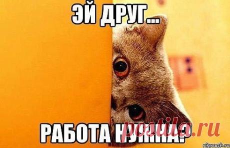 Хочешь узнать подробнее?